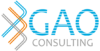 Gao Consulting